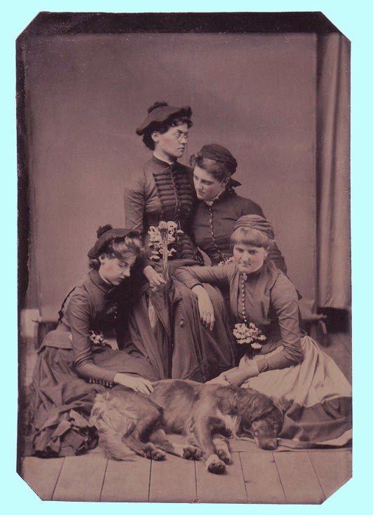 Donne Che Fanno Sesso Con Animali