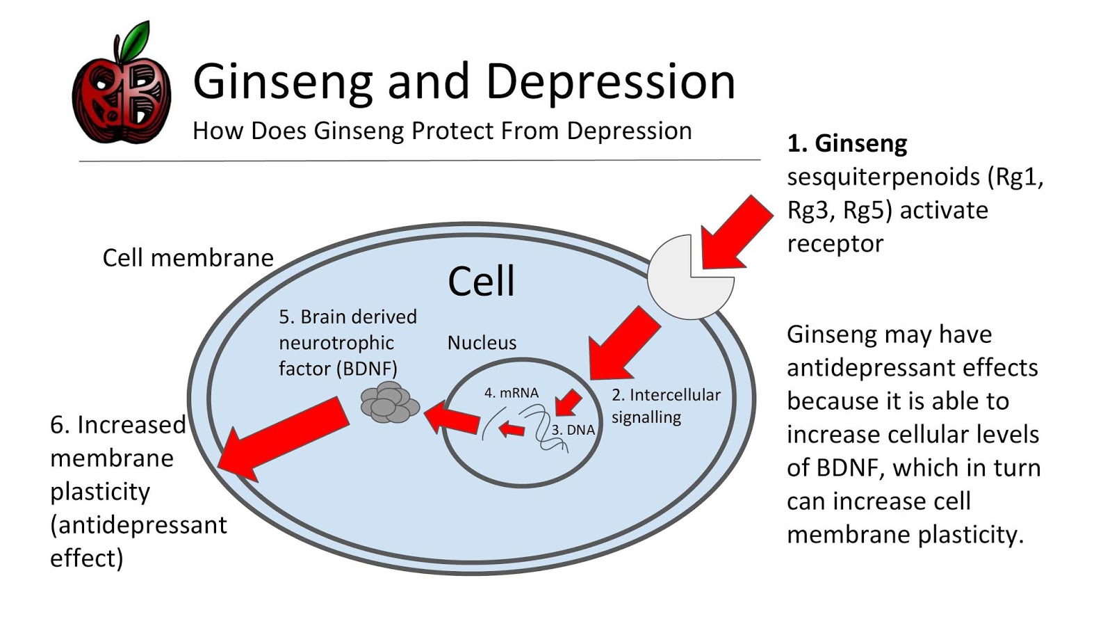 Ginseng and Depression
