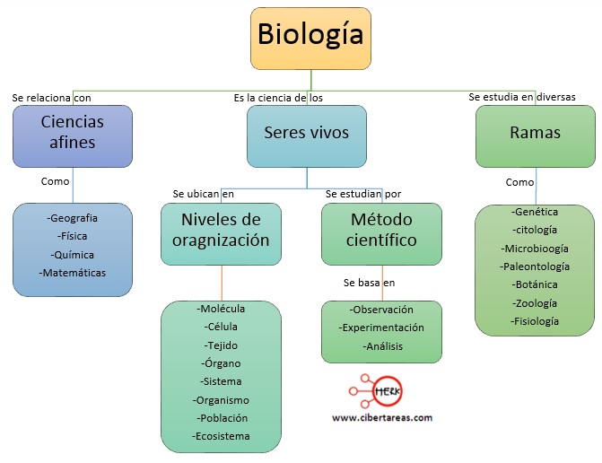 Mapa Conceptual De Biología Biología Nayanci Portal González