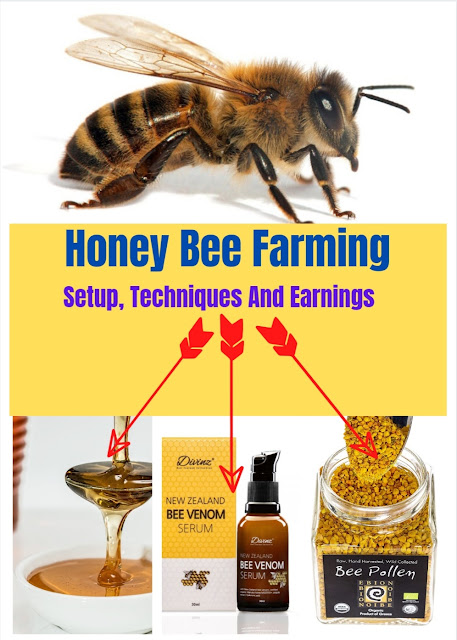 Honey Bee Farming- Setup, Techniques And Earnings honey bee farming,beekeeping farming,honey,bee farming,honey bee farming in india,honey bees farming beginners in india,honey bee farming business,honey bee,honey bees farming beginners,how to start honey bee farming business,honey bee farming income,honey bee farming project,how to start honey bees farming beginners,honey bees,honey farming,agriculture farming in the philippines,agribusiness farming in the philippines,farming,bee farming business plan,bee keeping farming in hindi