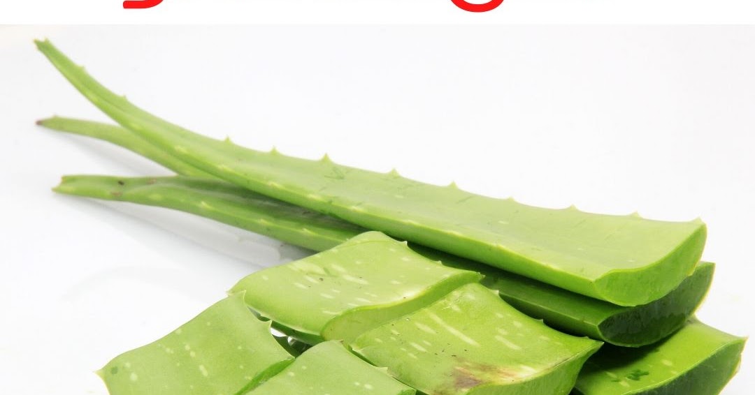 Is aloe vera poisonous How to eat aloe vera with pictures in tamil