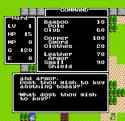 Dragon Warrior waste of money at shop Videogames Help You in Starting a Business