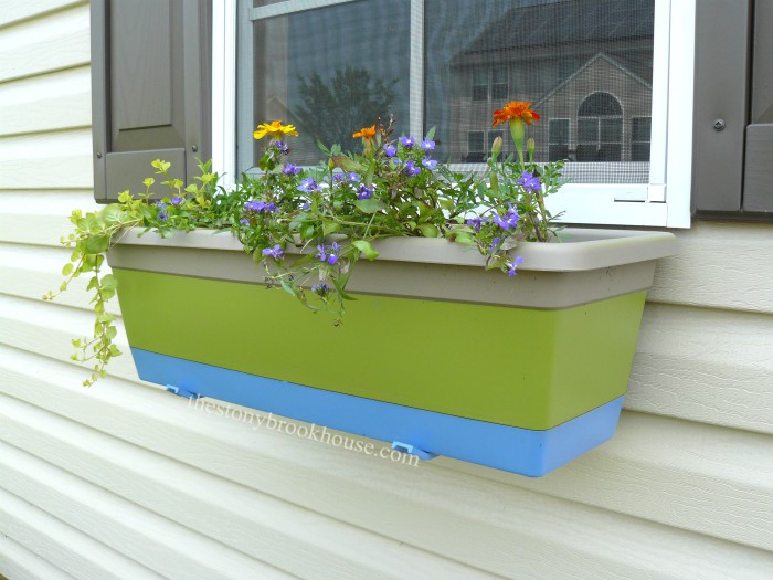 Painted Window Boxes The Stonybrook House