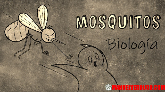 Razón por la que pican los mosquitos