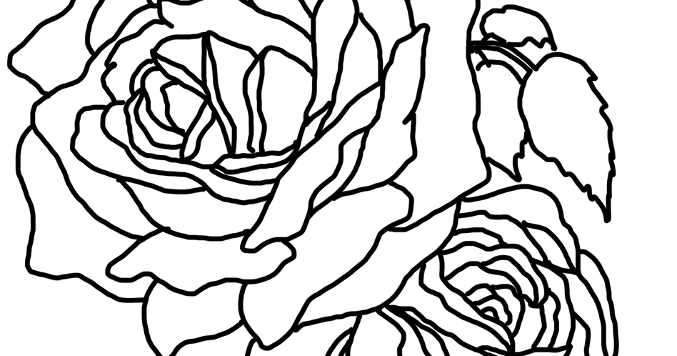 gambar mewarnai bunga mawar