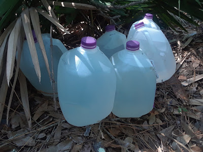 gallons with water