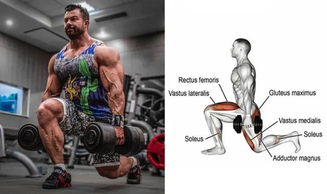 The Best Exercises to Have Powerful and Muscular Legs