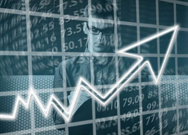 seo growth chart a graph showing growth with the help of vegan marketers at Ardor SEO