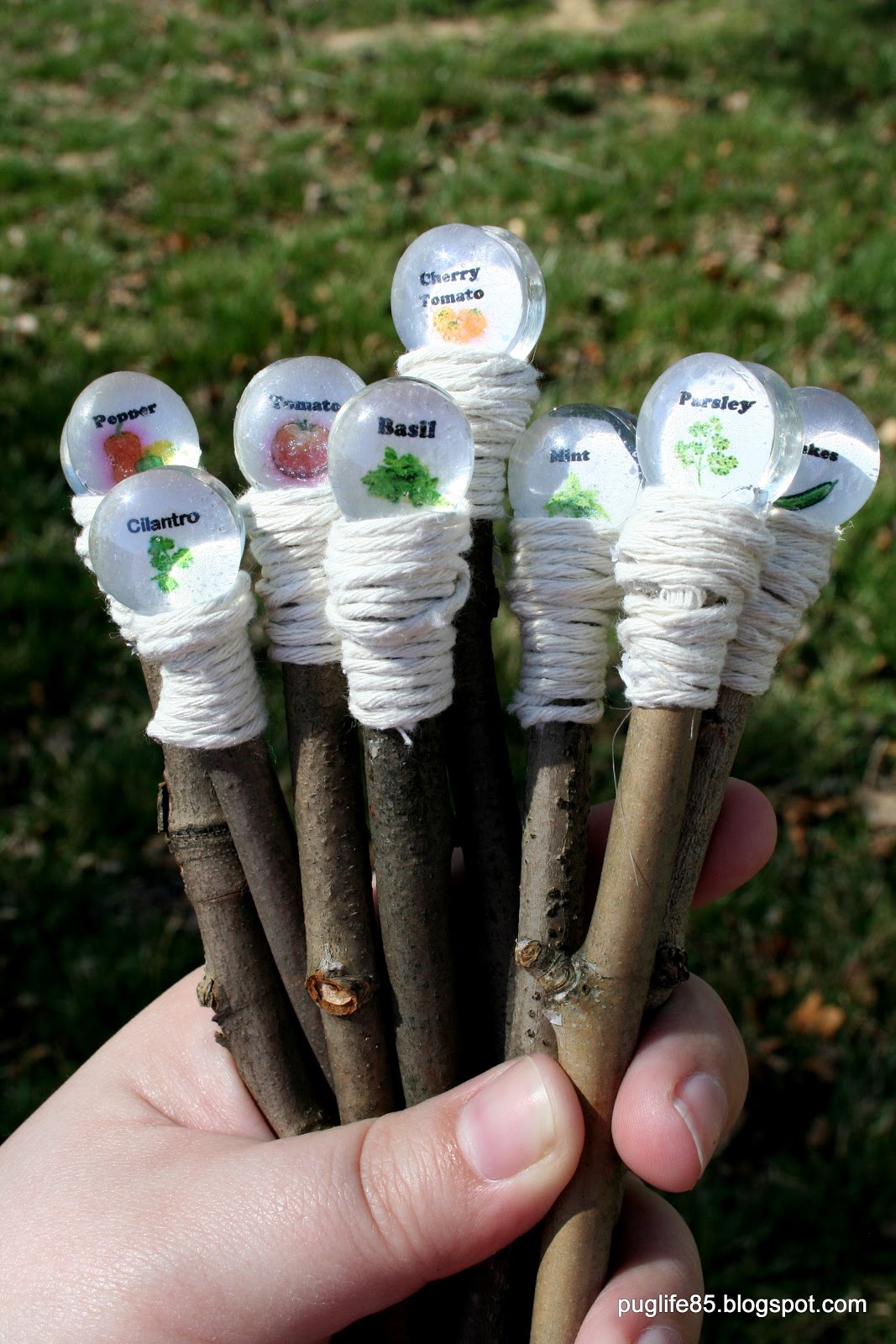 Pug Life DIY Plant Markers