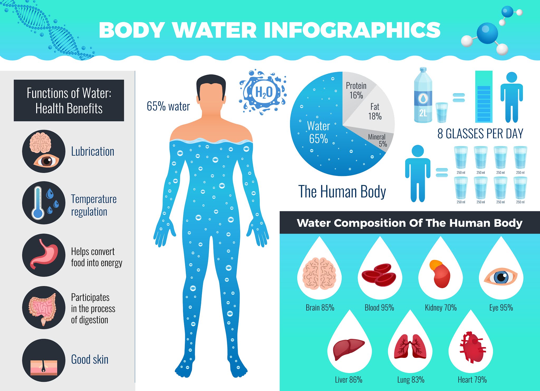 Major 5 Important Role of Water to Stay Healthy in 2021