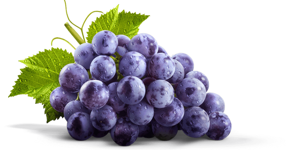 RIGHT MEDICAL CENTRE GRAPES most powerful antioxidant