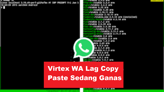 Virtex WA Lag Copy Paste
