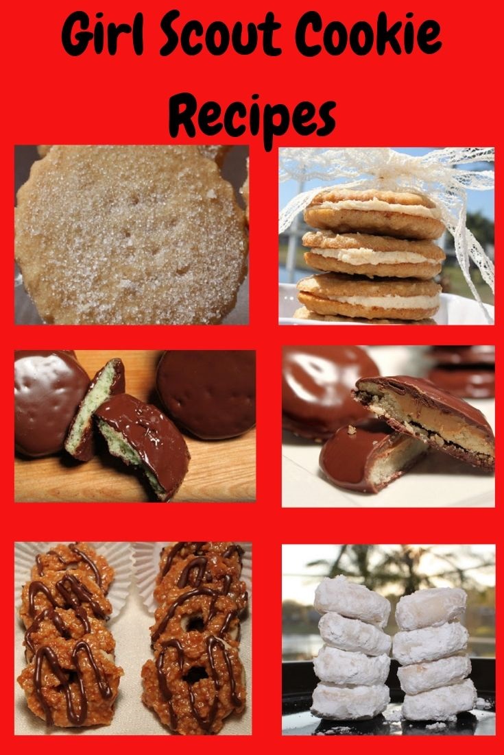 this is how to make girl scout cookies at home from scratch. There are all the famous popular ones in the photo like tagalongs, samoas, shortbread, lemon coolers, thin mint and oatmeal cremes