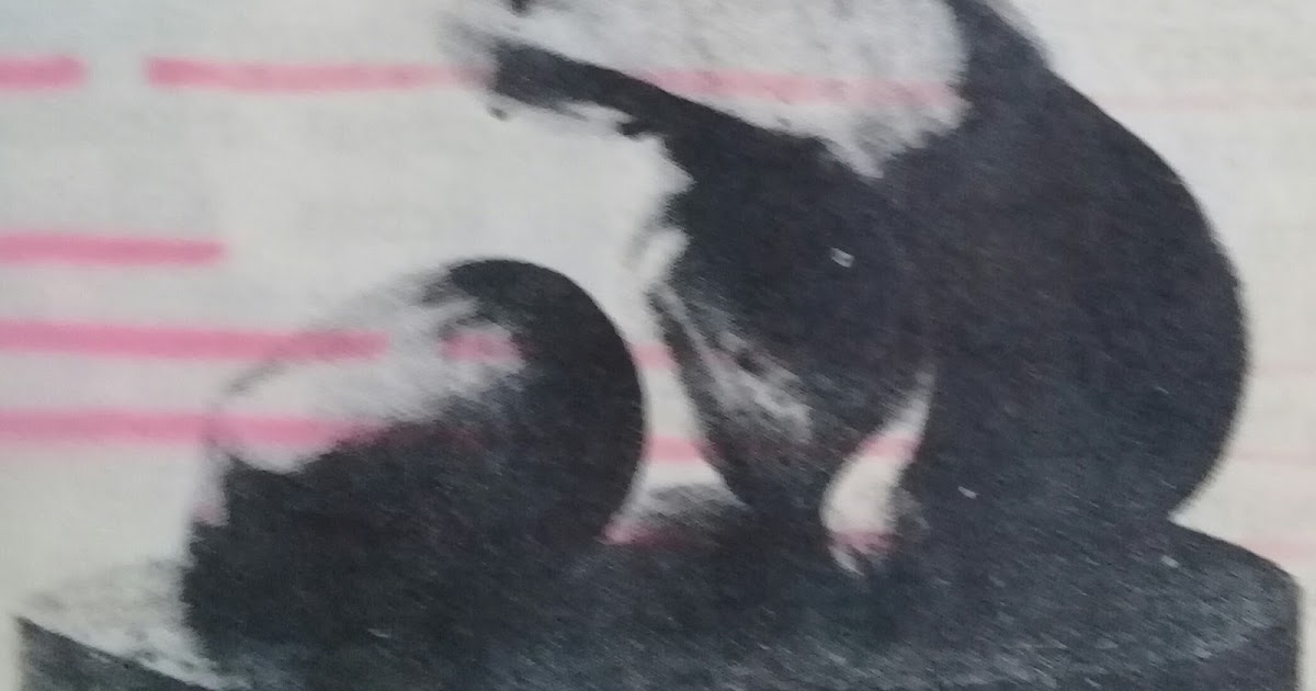 "GURU SMPIT ISLAMIC BOARDING SCHOOL PESANTREN ANNUR