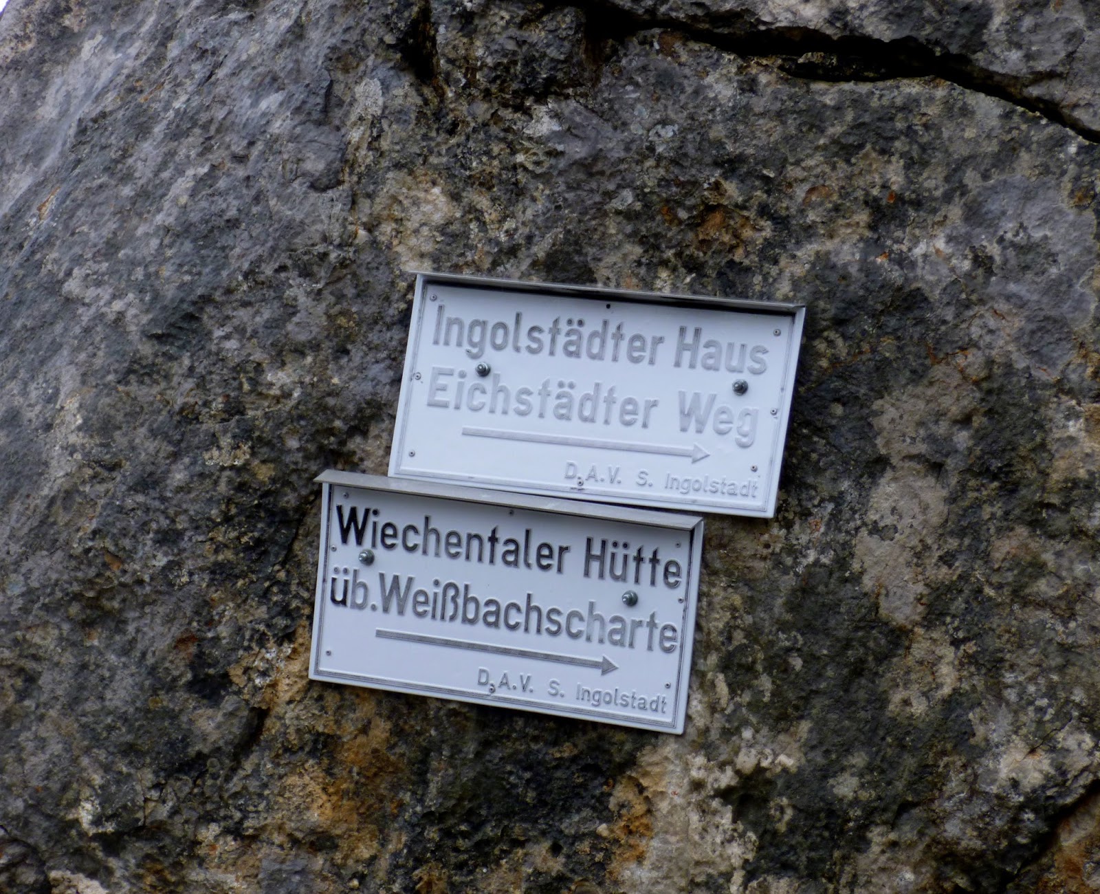 Emerging From The Undergrowth Steinerne Meer And Berchtesgaden