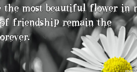 You are the most beautiful flower- Friendship Quotes ~ English SMS & Quotes