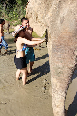 Chiang Mai, Thailand: Maerim Elephant Sanctuary