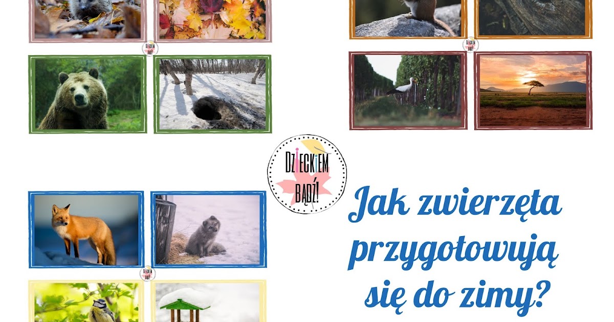 Przygotowania Zwierząt Do Zimy Karty Pracy Jak zwierzęta przygotowują się do zimy? Obrazki i napisy do czytania