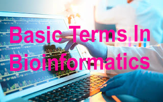 Basic Bioinformatics Terms on English letter