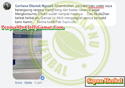 Obat Gagal Ginjal Akut Dan Kronis Mujarab dan TERBUKTI Manjur!! Obat Gagal Ginjal Akut Dan Kronis Mujarab dan TERBUKTI Manjur!!