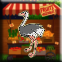 Games2Jolly Masai Ostrich…