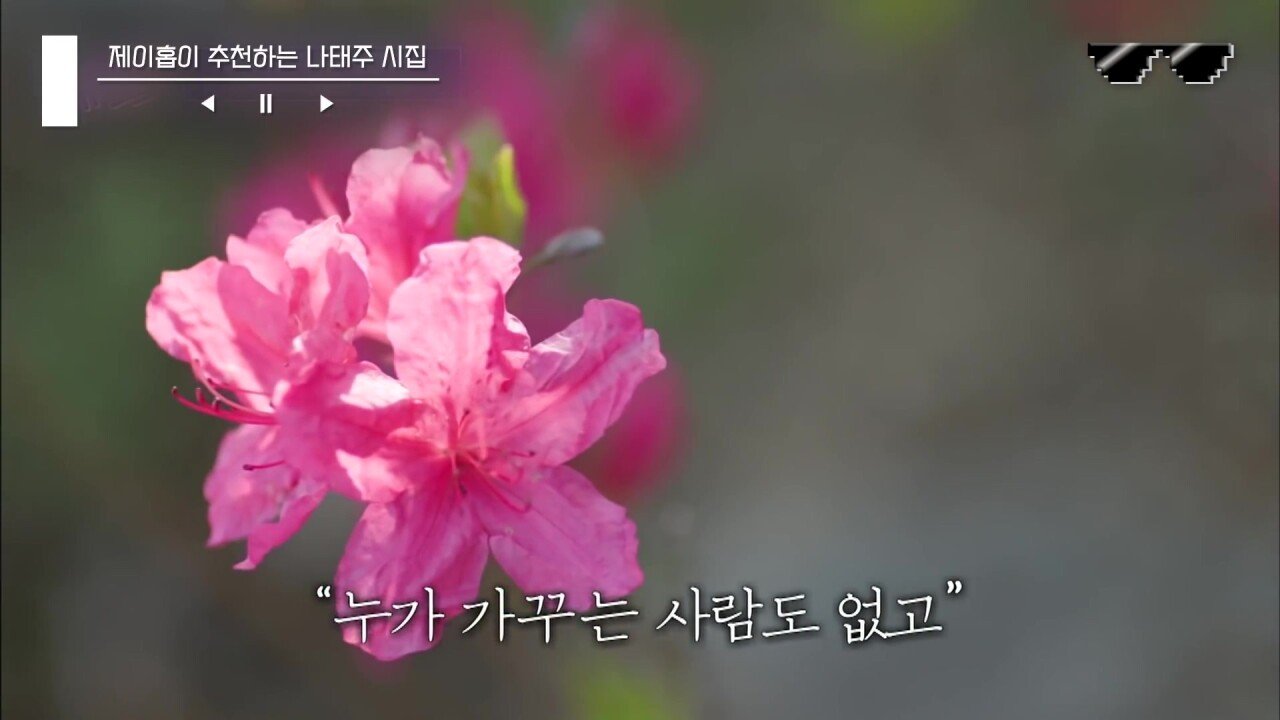 유퀴즈 '풀꽃' 시인 나태주 - 꾸르