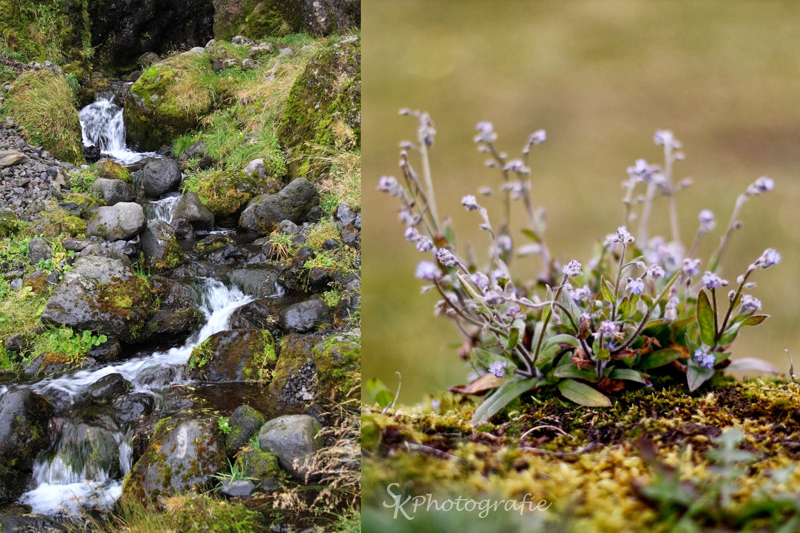 Anderswo Wunderschon Gemacht