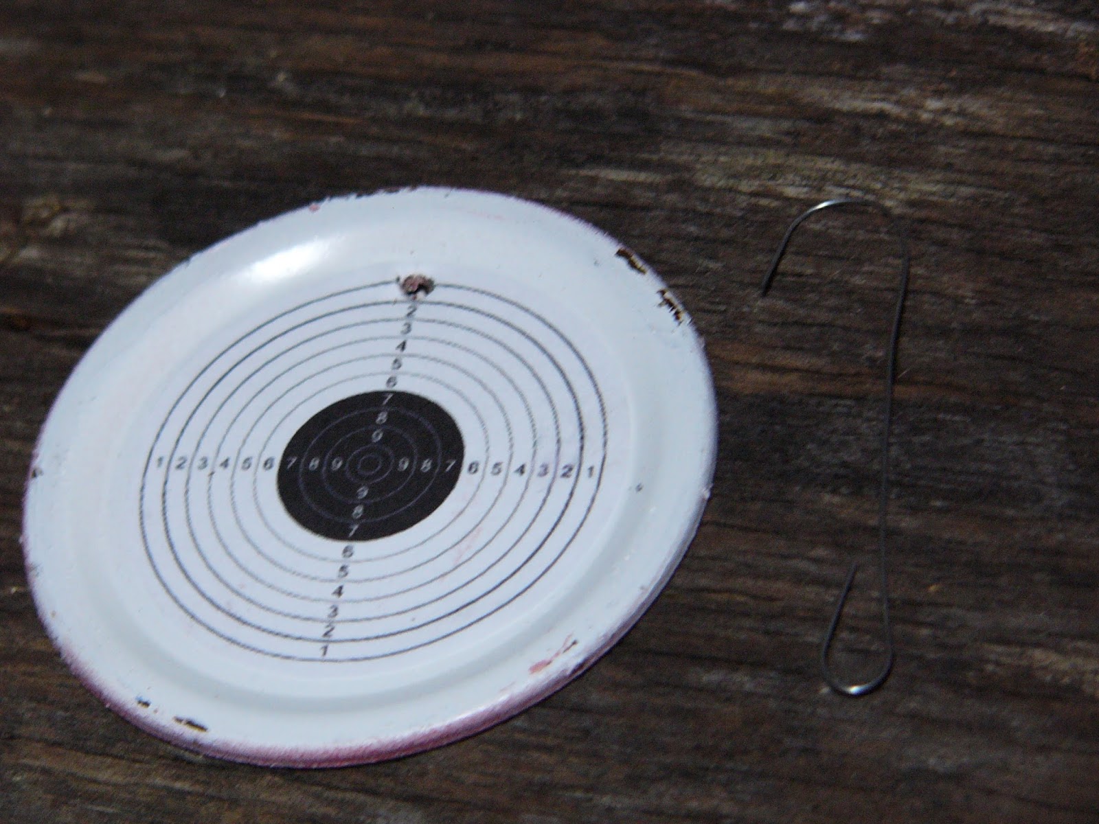 TARGET ORNAMENT GIFTS Salt Lick Shop