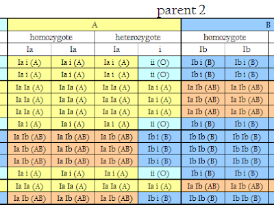 Punnett square blood type chart parent child 175824