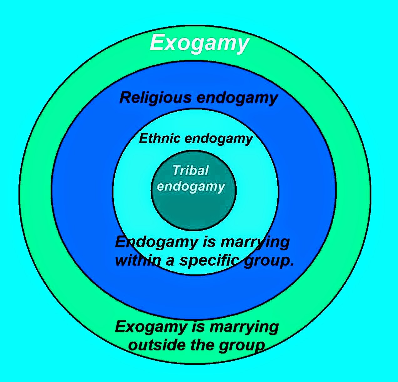 Endogamous SexualReligion: (9) The Convergence Theory of Paradise