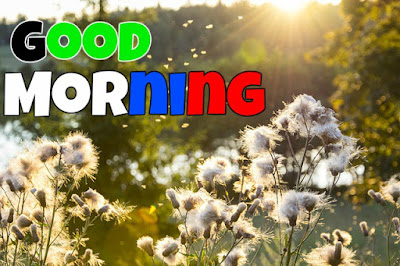 Good Morning Images Good Morning Images