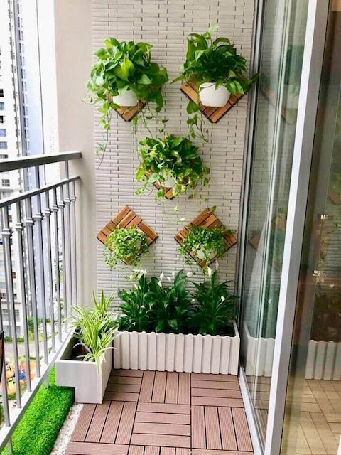 Vertical Garden Indoor