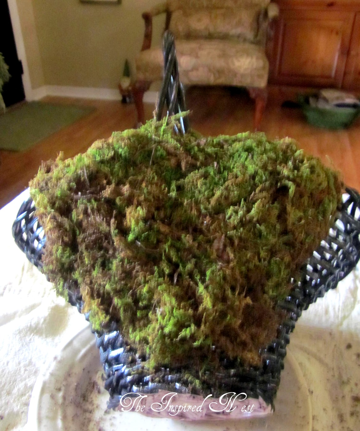 The Inspired Nest Moss Basket Tutorial
