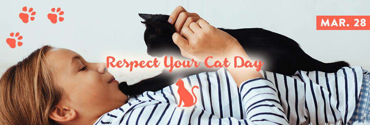 Respect Your Cat Day Wishes Images Respect Your Cat Day Wishes Images