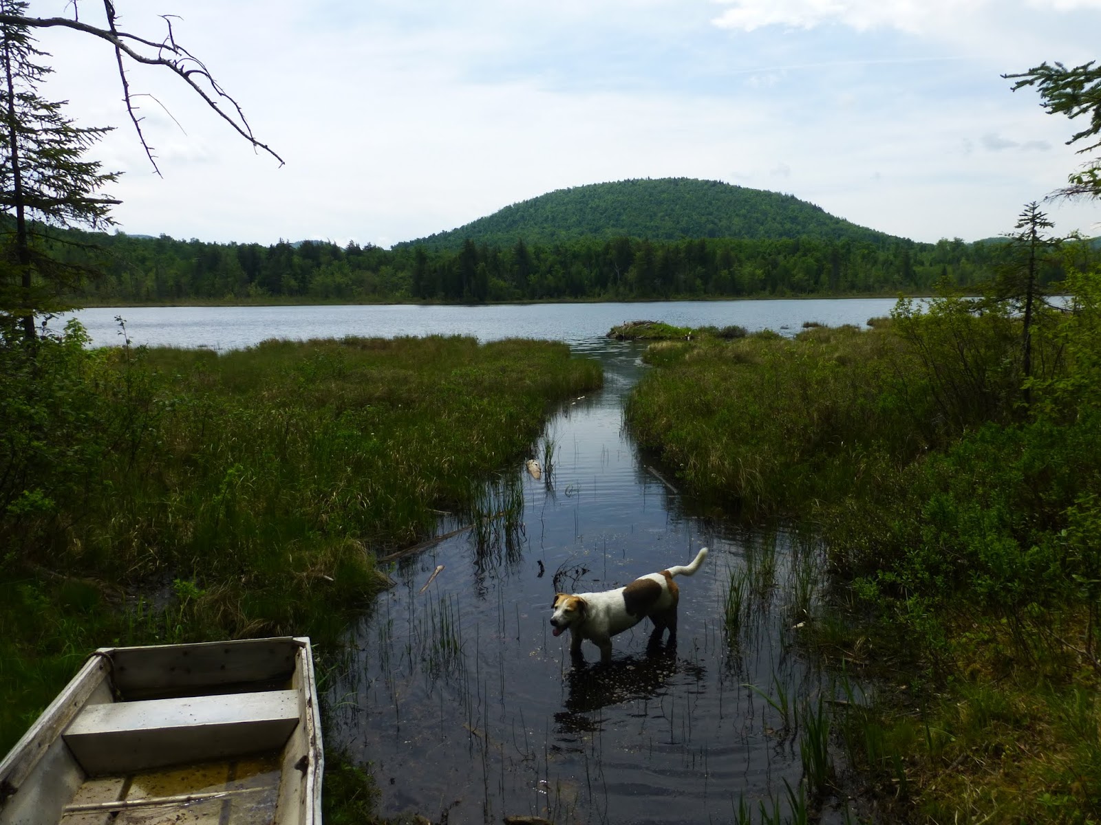 Off on Adventure Cherry Ridge and Wolf Pond Mountain Wilcox Lake
