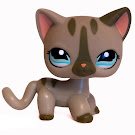 Littlest Pet Shop Multi Pack Cat Shorthair (#1206) Pet