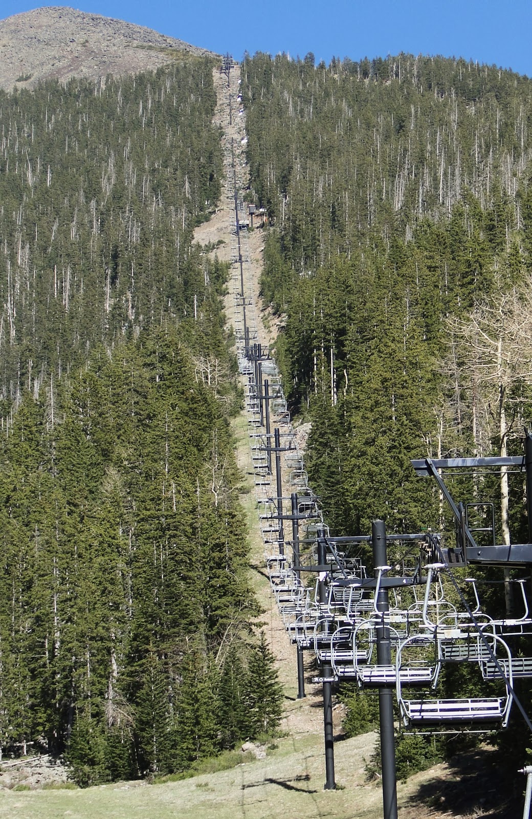 Travel Adventures Flagstaff