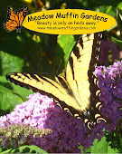 Meadow Muffin Gardens website