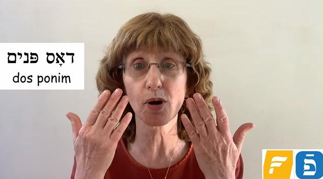 Jewish Humor Central: Yiddish Word of the Day - Parts of the Face