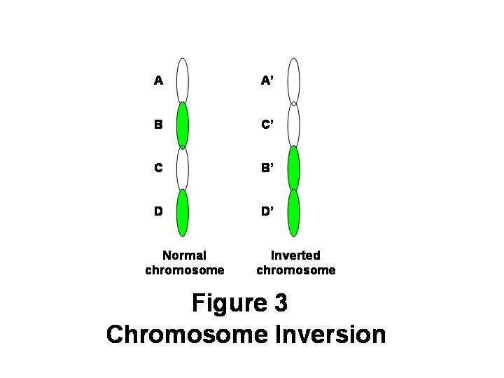 John's StoryBlog: The Secrets of Life (5 of 5) - Crossover and ...