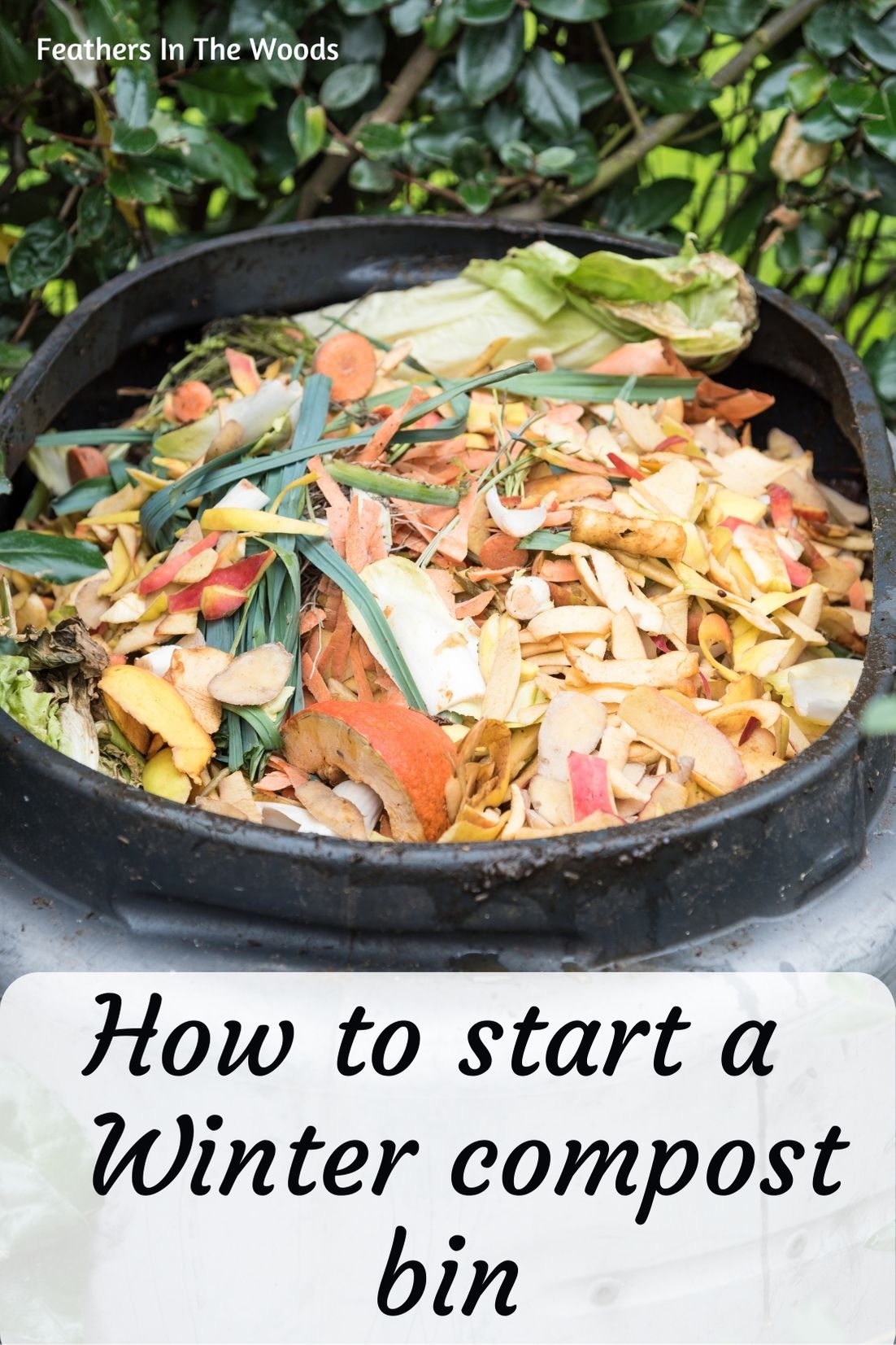 Make a winter compost bin Feathers in the woods