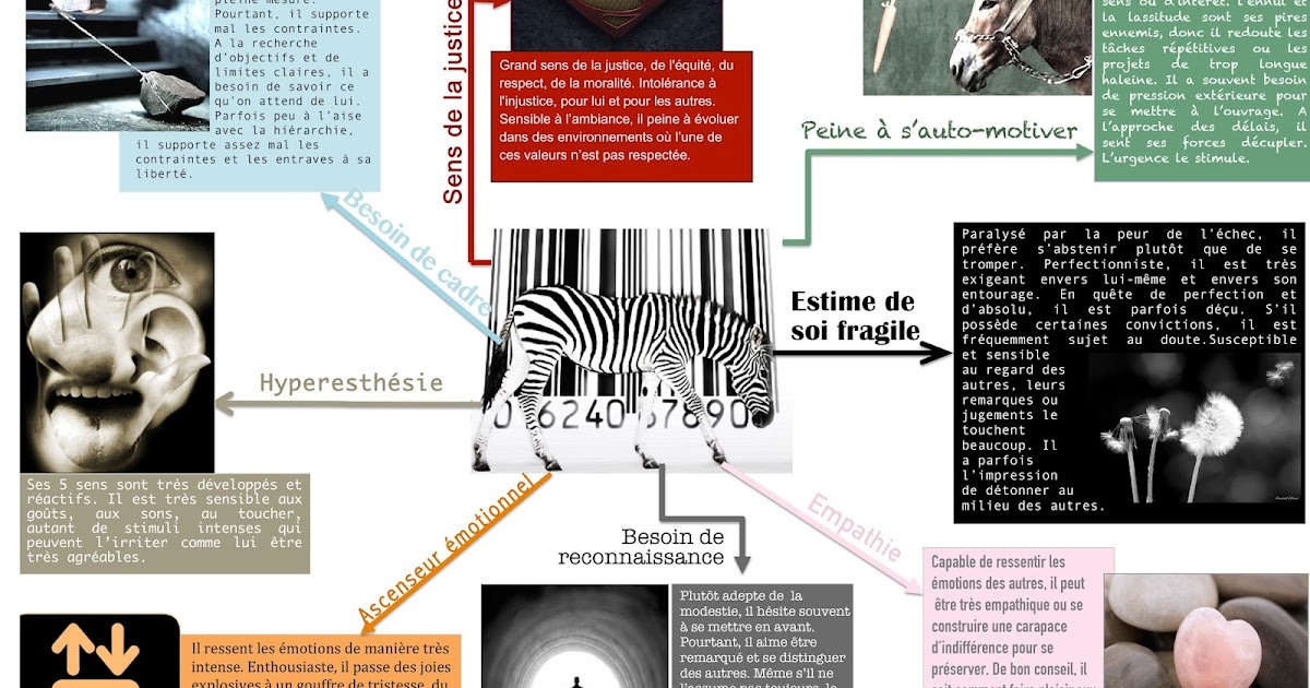 Qu Est Ce Qu Un Zebre En Psychologie Dialogues de zèbres: Quelques traits du zèbre, comment vivre et réagir