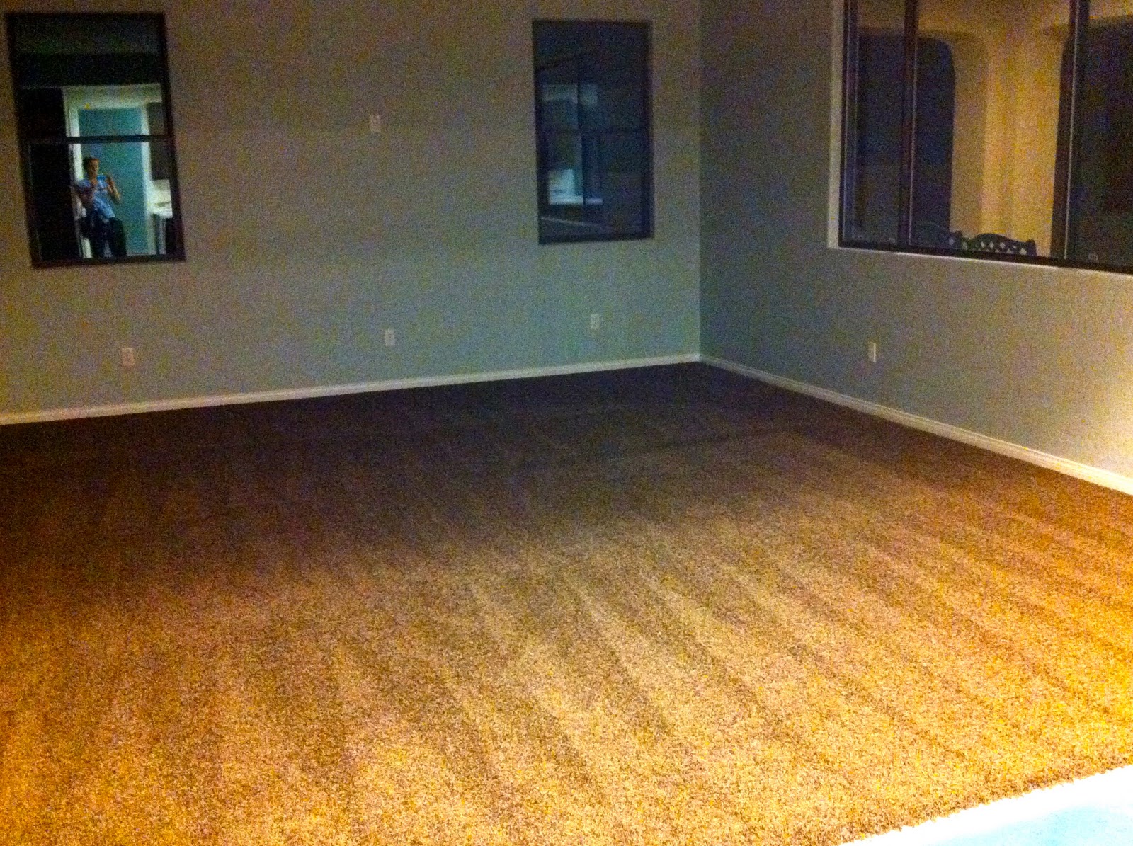 carpet and flooring finish . stephrything
