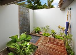 A'Pallota: ***Un baño en la selva***