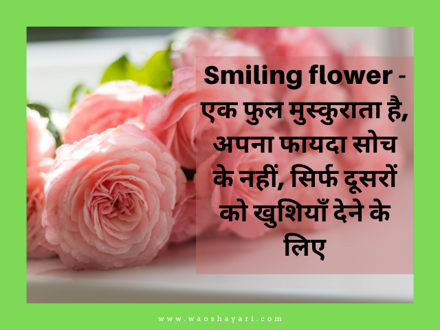 good morning flowers images for whatsapp status good morning image