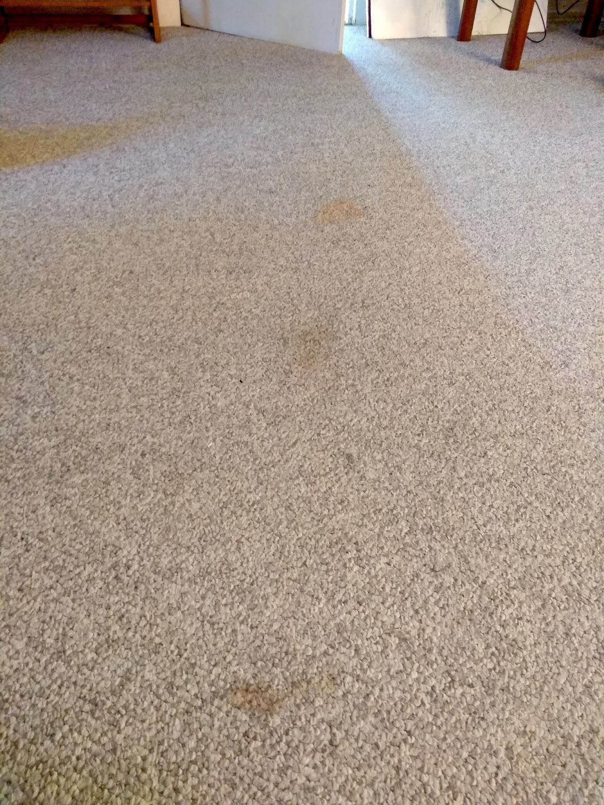 Divinebunbun's Rugged Rural Missouri My Favorite Carpet Stains