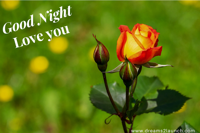 rose good night rose good night