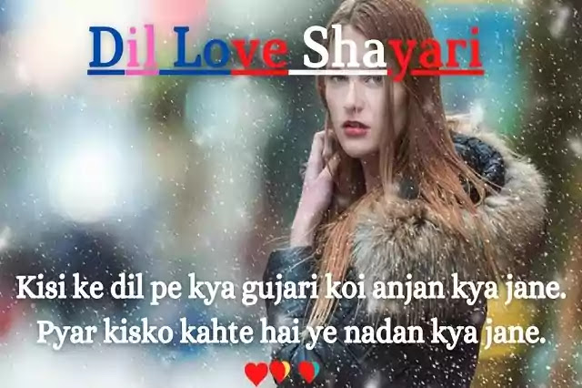 Dil Love Shayari, Quotes, Status, Se Sms | Quotes On Heart | Dil Se Shayari In Hindi.