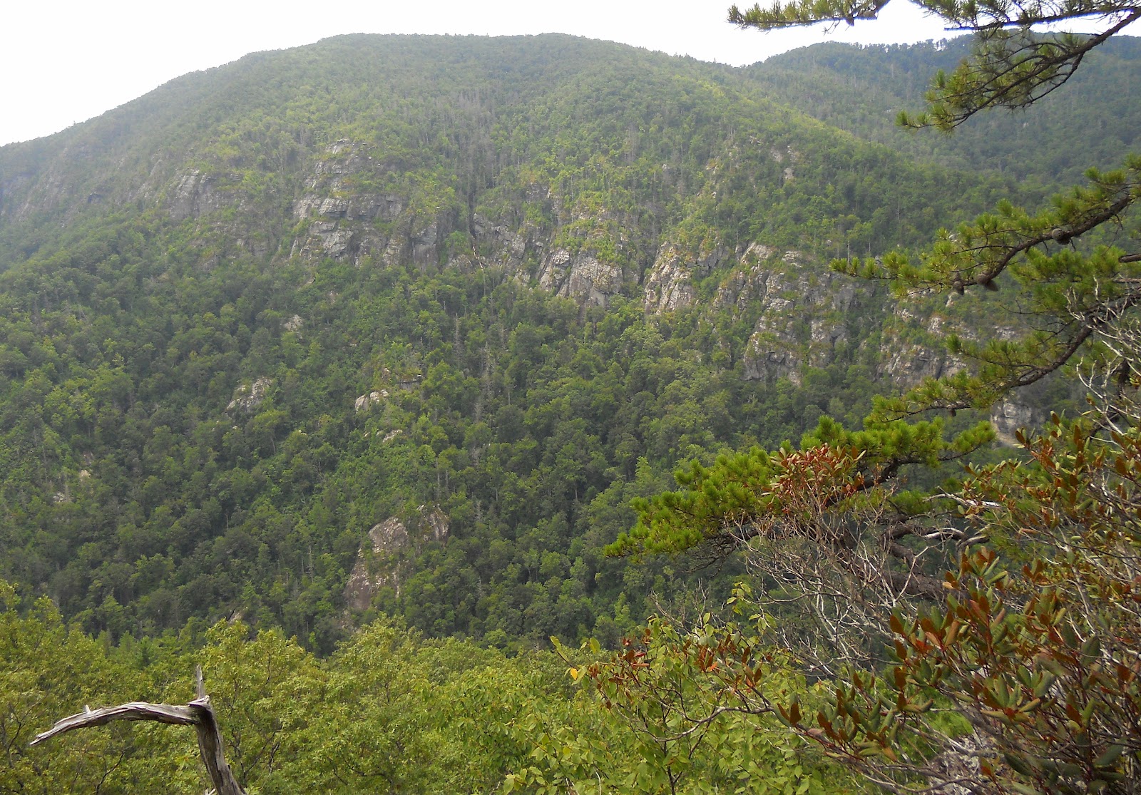 Hiking with a Fat Bald White Guy: Linville Gorge - Devils Cliff