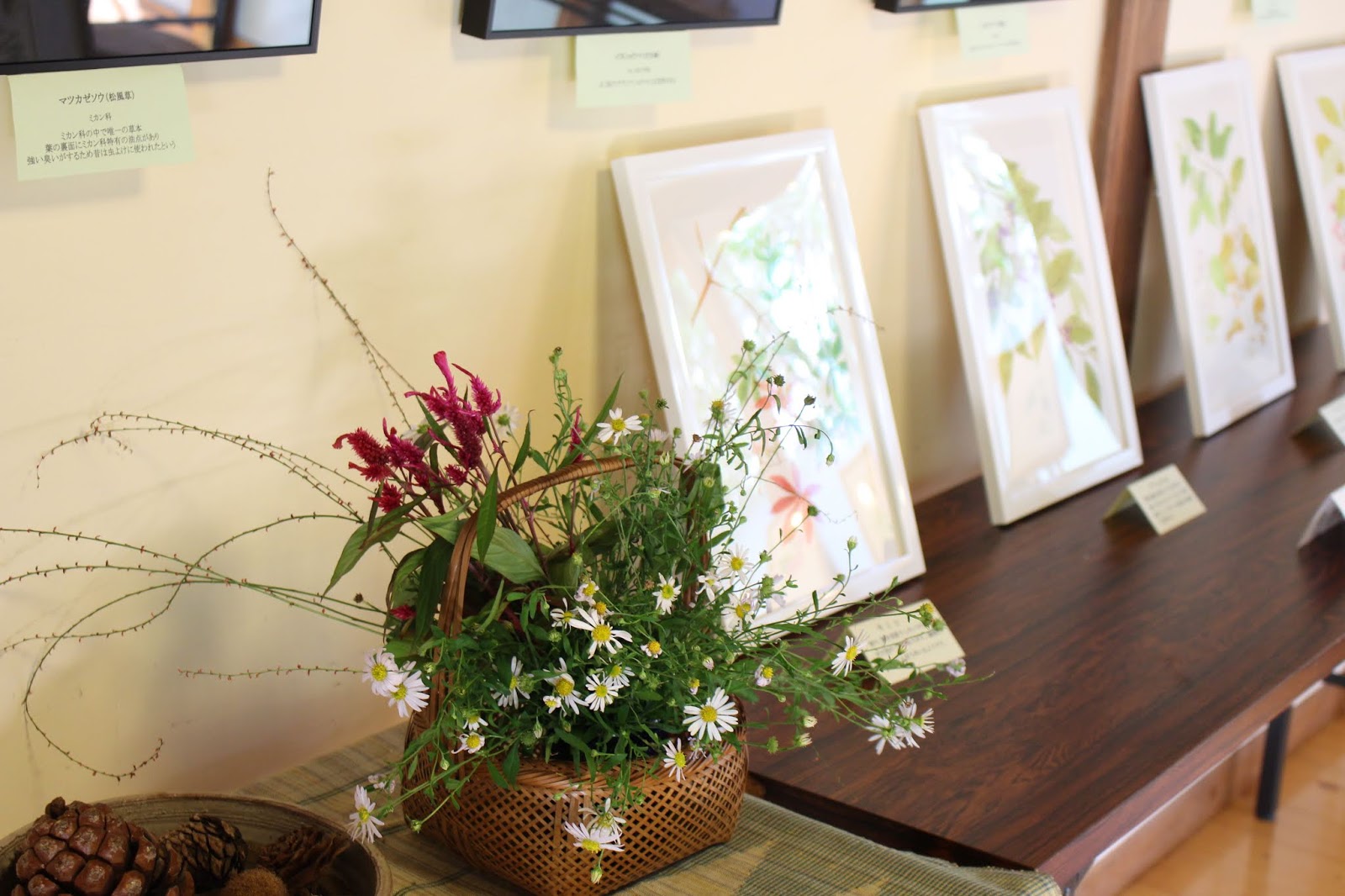 ちいさな秋 山野草写真 原画展 尾駒木野庭園 高尾 登山 喫茶 日本庭園 喫茶 古民家 山野草イラスト イラスト原画 山野草写真 高尾の野草 高尾の山野草 駒木野 野草を守る会 枯山水 裏高尾 小仏 小仏川 梅郷 高尾散策 景信山 蛇滝